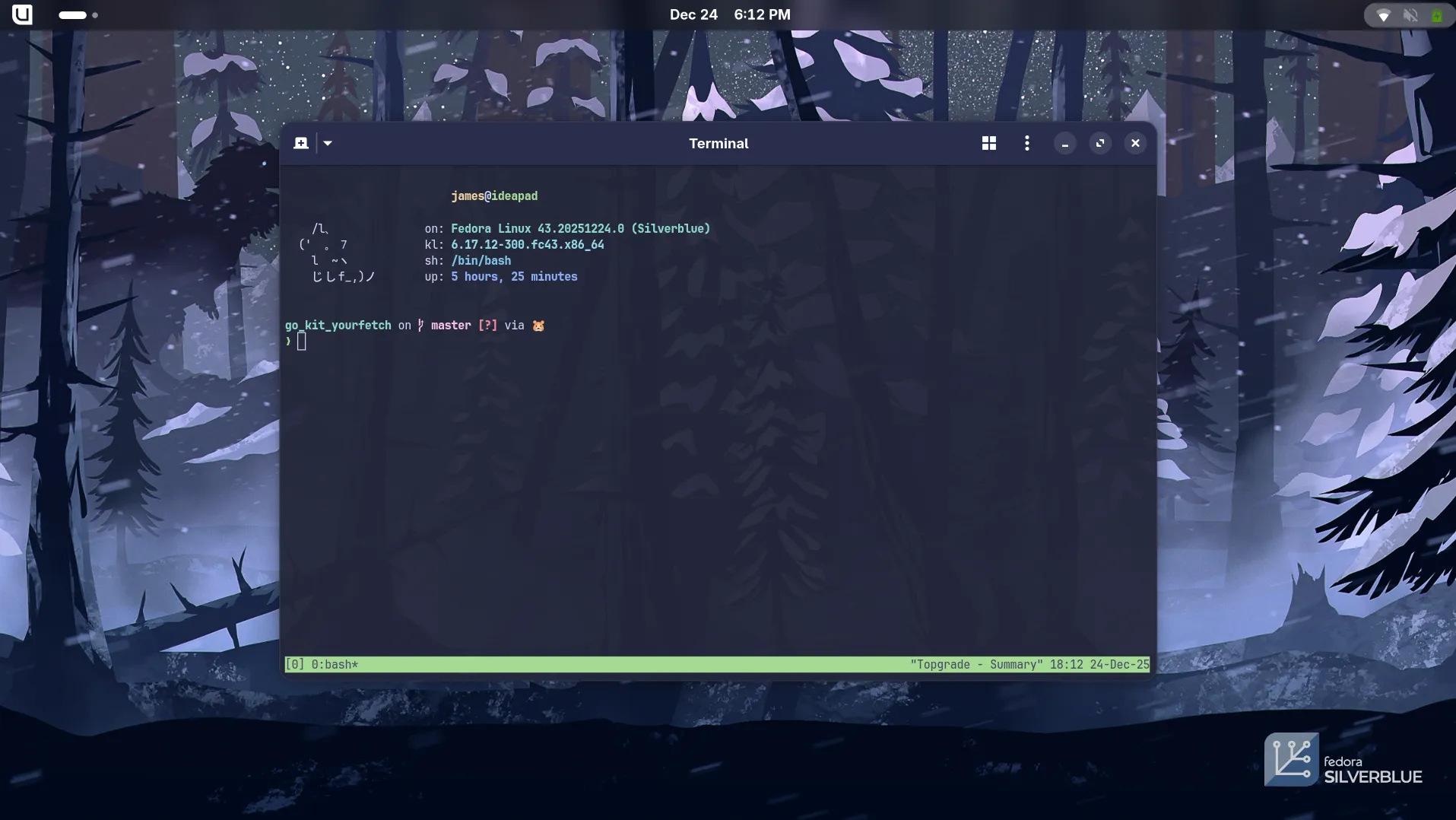 A screenshot of my desktop wallpaper.